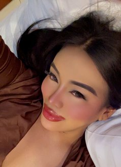 The girl you always wanted / Gigi - escort in Ho Chi Minh City Photo 30 of 30