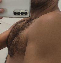 The Great Bull Independent- 8 Inches - Male escort in Gurgaon