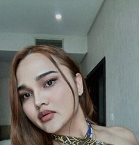 Mistress Gigi My Pictures 100%🇹🇭🇰🇷 - Transsexual escort in Phuket