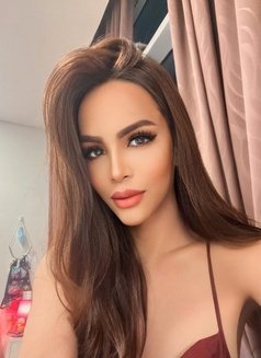 The hard top and dominant ts - Transsexual escort in Singapore Photo 30 of 30