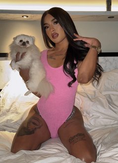 🇨🇴THE HOT LATINA, RETURNED WITH 20 CM❤ - Transsexual escort in Dubai Photo 3 of 30