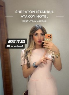 The Hottest Sex Doll 20 cm 2nd Account - Acompañantes transexual in İstanbul Photo 22 of 22