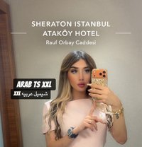 The Hottest Sex Doll 20 cm 2nd Account - Transsexual escort in İstanbul