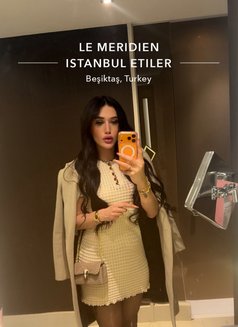 The Hottest Sex Doll 20 cm 2nd Account - Transsexual escort in İstanbul Photo 25 of 26