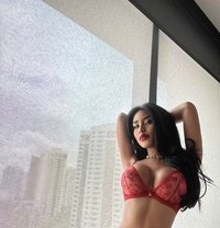 Wolfie (OUTCALLS ONLY) - Transsexual escort in Amsterdam