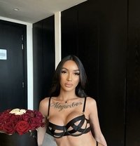 newest ladyboy fantasy in town - Acompañantes transexual in Tel Aviv