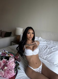 The ladyboy of your dreams - Transsexual escort in Dubai Photo 30 of 30