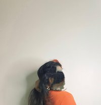 The Malayali Actress - escort in Kochi