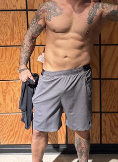 The Man - Acompañante masculino in Munich Photo 1 of 1