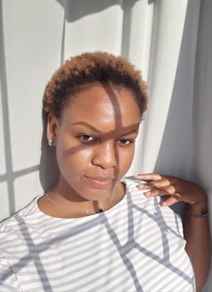 The Mombasa Experience - escort in Mombasa Photo 1 of 5