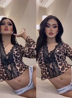 The new Dada with Big dick - Transsexual escort in Riyadh Photo 3 of 20