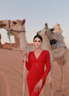 The new Dada with Big dick - Transsexual escort in Riyadh Photo 1 of 16