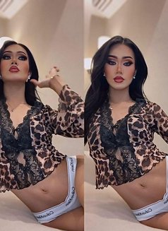 The new Dada with Big dick - Transsexual escort in Riyadh Photo 6 of 16