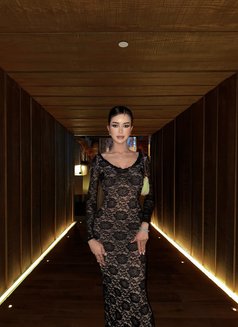 Dada just came back - Transsexual escort in Riyadh Photo 9 of 28