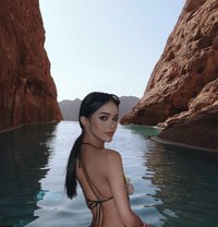 Dada just came back - Transsexual escort in Riyadh