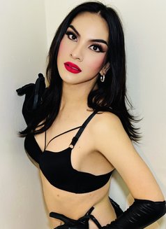 The Newest TS in Town - Transsexual escort in Abu Dhabi Photo 2 of 30