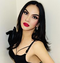 The Newest TS in Town - Transsexual escort in Abu Dhabi