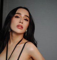 The Phenomenal Ladyboy of your Dreams - Transsexual escort in Seoul