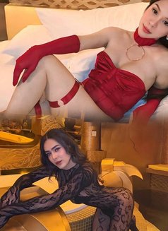 The Power Duo - Acompañantes transexual in Kuala Lumpur Photo 3 of 3