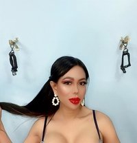 The Pro Dominatrix OLIVIA PEREZ LUX - Transsexual escort in Dubai