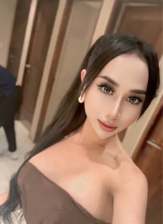 SEXY Mastering fantasy &Hard 8inchi 🫦 - Acompañantes transexual in Bali Photo 27 of 30