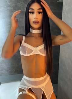 ✰ ✰ ✰ ✰ ✰ QUEEN Manelyk 9INCH🇧🇷 - Transsexual escort in Dubai Photo 18 of 30