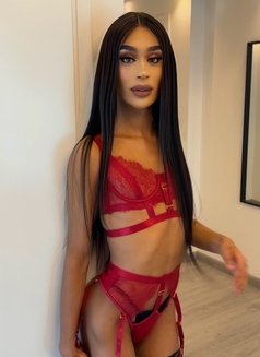 ✰ ✰ ✰ ✰ ✰ QUEEN Manelyk 9INCH🇧🇷JVC - Acompañantes transexual in Dubai Photo 16 of 29