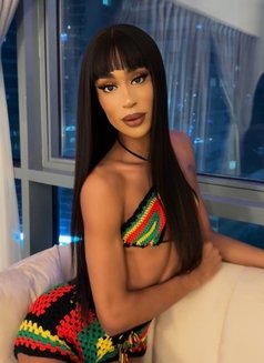 ✰ ✰ ✰ ✰ ✰ QUEEN Manelyk 9INCH🇧🇷JVC - Acompañantes transexual in Dubai Photo 17 of 29