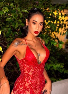 the Real Deal TS Bella with POPPERS - Transsexual escort in Singapore Photo 27 of 30