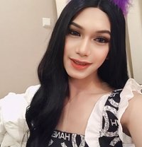 Ladyboy 69 - Acompañantes transexual in Al Manama