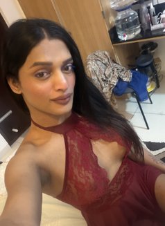 The Shweta - Acompañantes transexual in Mumbai Photo 3 of 10