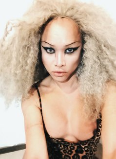 The Thermodynamics of Trans Sensuality - Transsexual escort in Bangkok Photo 11 of 22