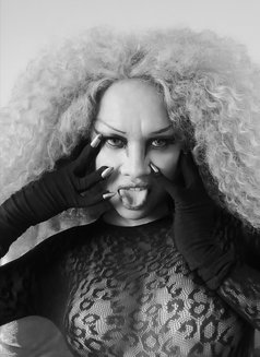 The Thermodynamics of Trans Sensuality - Transsexual escort in Bangkok Photo 13 of 22
