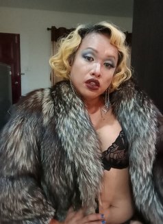 The Thermodynamics of Trans Sensuality - Transsexual escort in Bangkok Photo 16 of 22