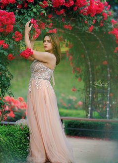 Thea in changwon - Transsexual escort in Busan Photo 22 of 26