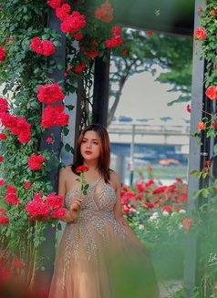 Thea in changwon - Transsexual escort in Busan Photo 23 of 26