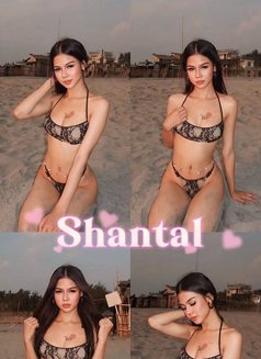 TheGentlemen’sSpa (SOUTH & METRO MNL) - escort in Manila Photo 29 of 30