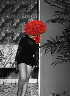 Themoneyqueen - escort in Port Harcourt Photo 3 of 3