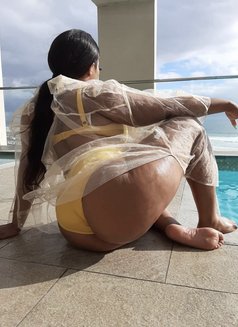 Thick Bunny - escort in Accra Photo 3 of 3