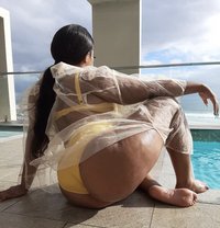 Thick Bunny - escort in Accra