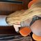 Thick Jade New in Hk - escort in Hong Kong Photo 4 of 4