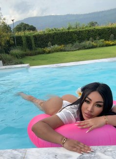 Thick Kate High Class Best BJ GFE - escort in Dubai Photo 10 of 11