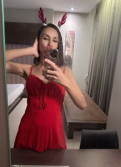 Thong Thong - Acompañantes transexual in Taipei Photo 2 of 6