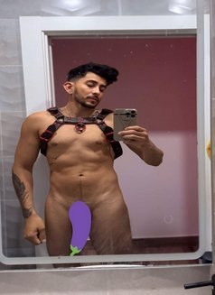 Thonybigcockxxl22 Arrived in Malta - Male escort in Malta Photo 5 of 22