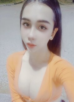 Thy Babie - Acompañantes transexual in Da Nang Photo 5 of 7