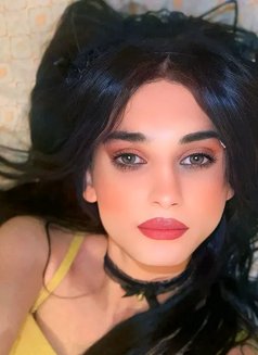 Tia - Transsexual escort agency in Beirut Photo 1 of 6