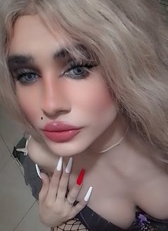 Tia - Transsexual escort agency in Beirut Photo 15 of 15