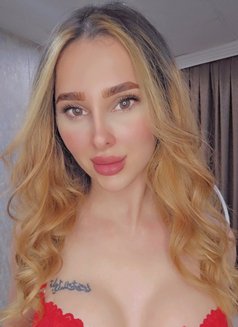 Tia in erbil - Transsexual escort in Erbil Photo 21 of 21