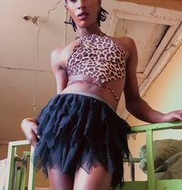 Tiana - Acompañantes transexual in Nairobi
