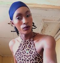Tiana - Transsexual escort in Nairobi